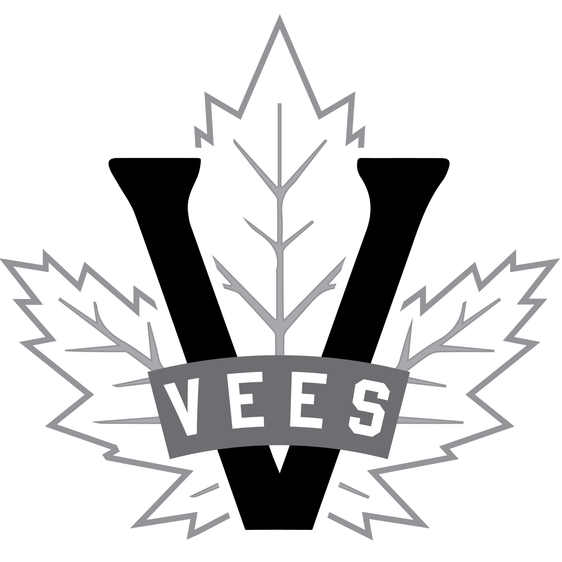 Penticton Vees